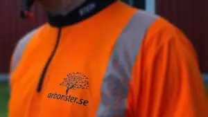 Närbild på arborister