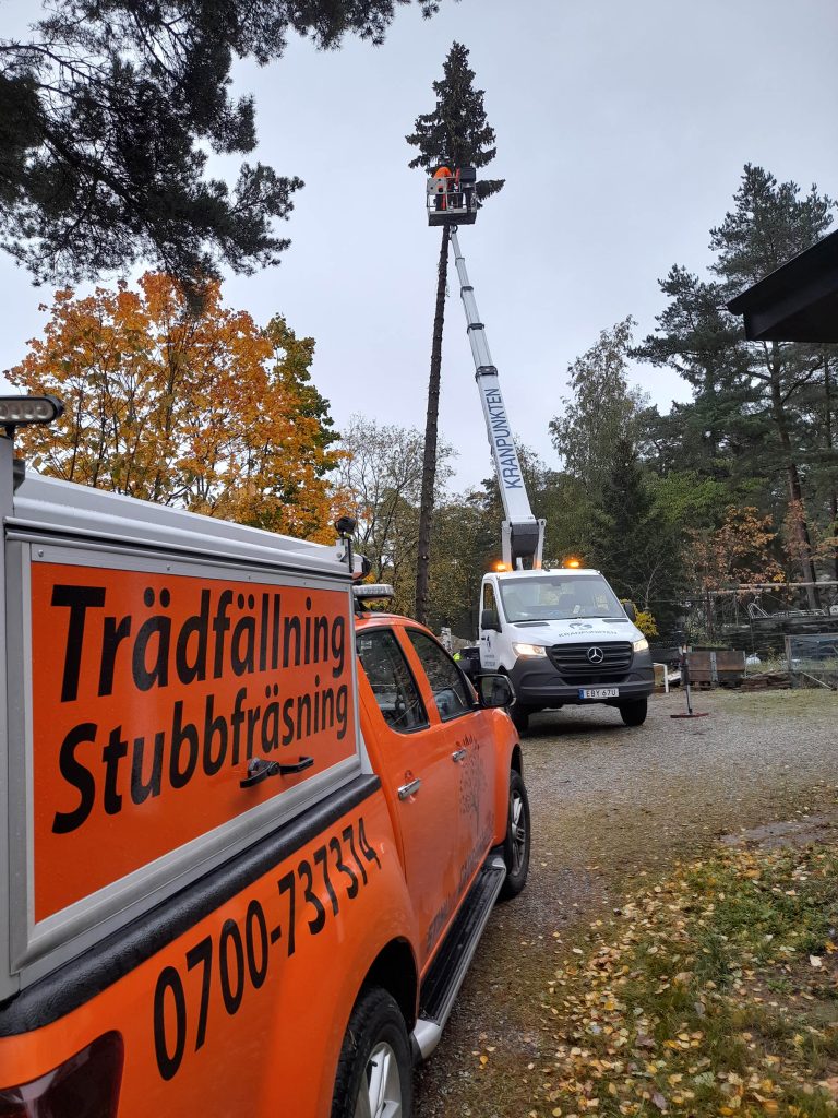 skylift trädfällning - Arborister.se skylift trädfällning