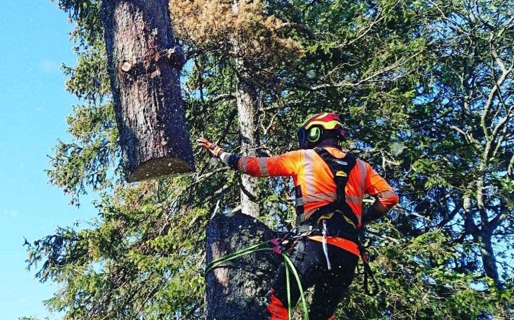 Trädfällning kranbil - Arborister.se